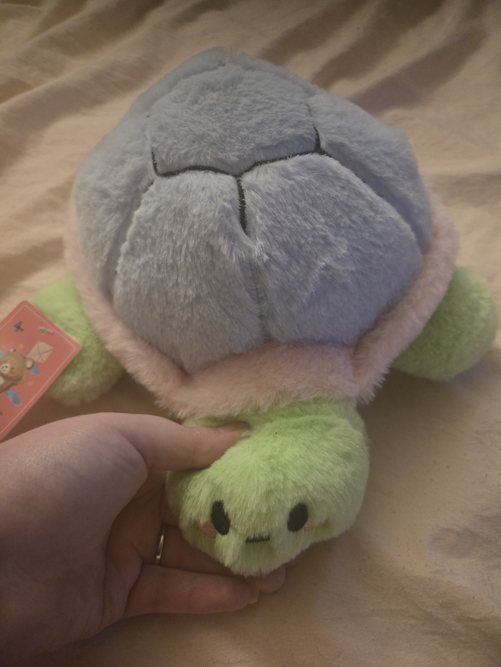 Plush Turtle Pet Toy - Light Blue, Pink & Light Green